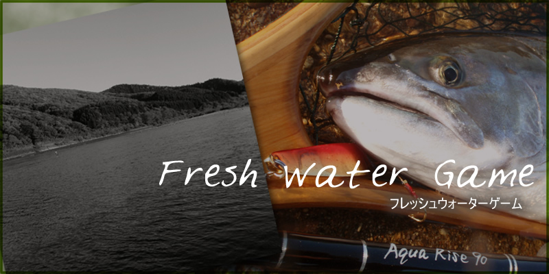 Flesh Water Game フレッシュウォーターゲーム【アクアライズ】