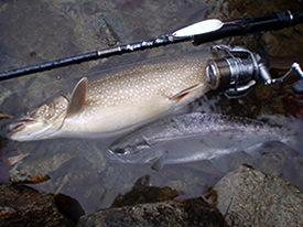 アクアライズ　シュール・スライド・スプーン イメージ画像