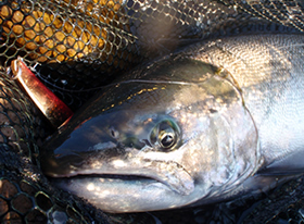 アクアライズ　シュール・スライド・スプーン イメージ画像