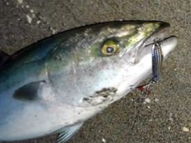 アクアライズ　シュール・スライド・ソルト イメージ画像