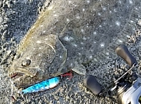 アクアライズ　シュール・スライド・ソルト イメージ画像