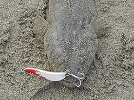 アクアライズ　シュール・スライド・ソルト イメージ画像