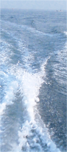 アクアライズ　シュール・スライド・ソルト 　イメージ画像