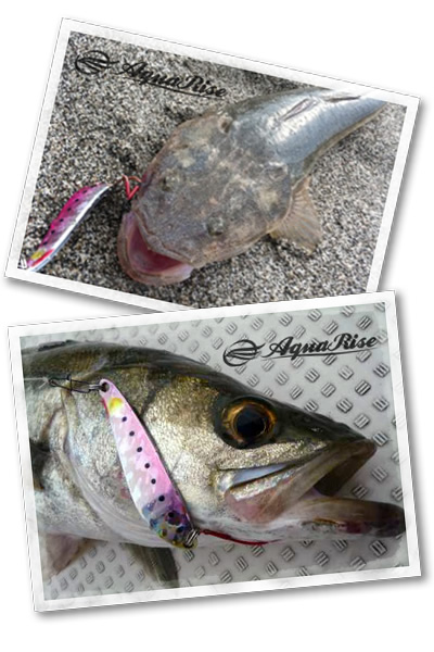 アクアライズ　シュール・スライド・ソルト 　イメージ画像