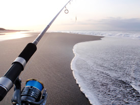 アクアライズ　シュール・スライド・サーフ イメージ画像