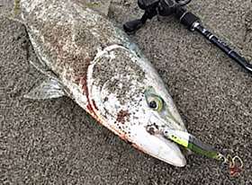 アクアライズ　シュール・スライド・サーフ イメージ画像