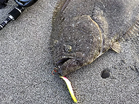 アクアライズ　シュール・スライド・サーフ イメージ画像