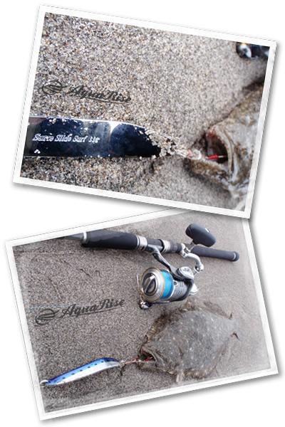 アクアライズ　シュール・スライド・サーフ 　イメージ画像